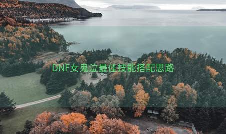 DNF女鬼泣最佳技能搭配思路