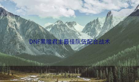 DNF黑暗君主最佳队伍配合战术