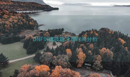 DNF剑魂技能冷却时间分析